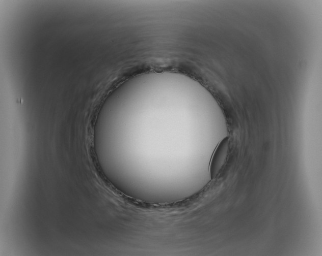 X0000114060961200910050952