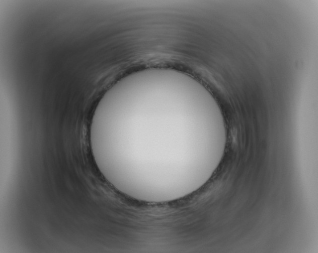 X0000114060964200910050952