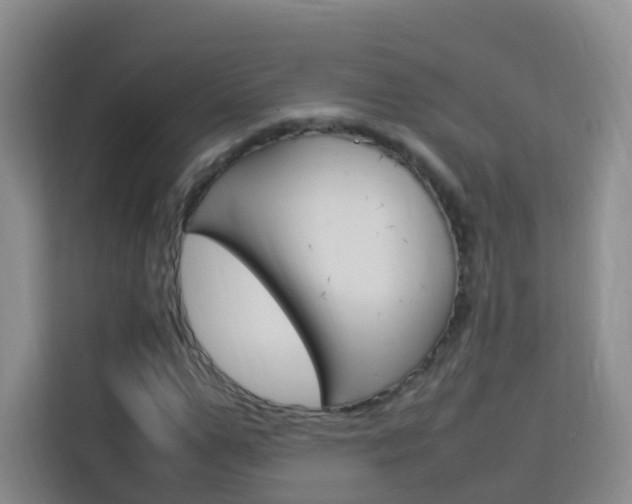 X0000114060967200910050952