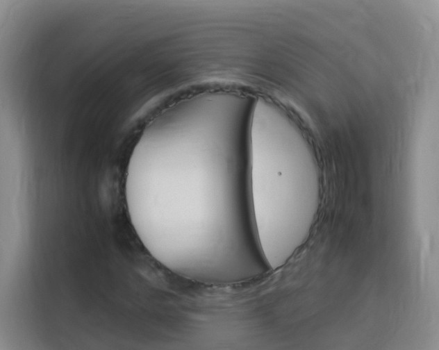 X0000114060968200910050952