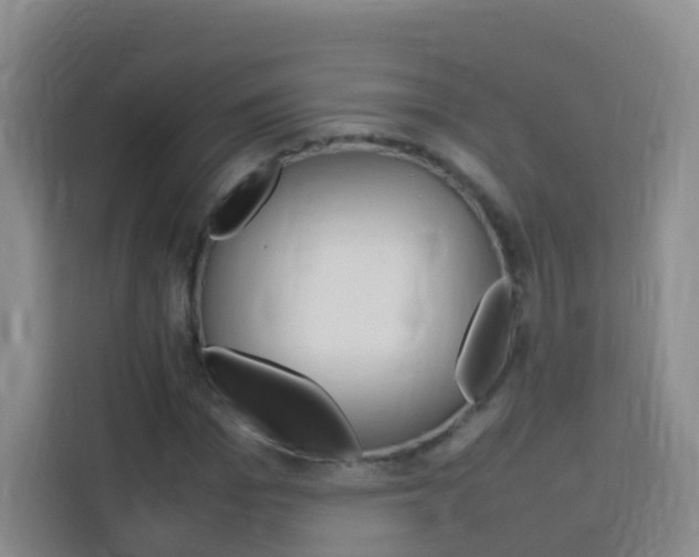 X0000114060969200910050952