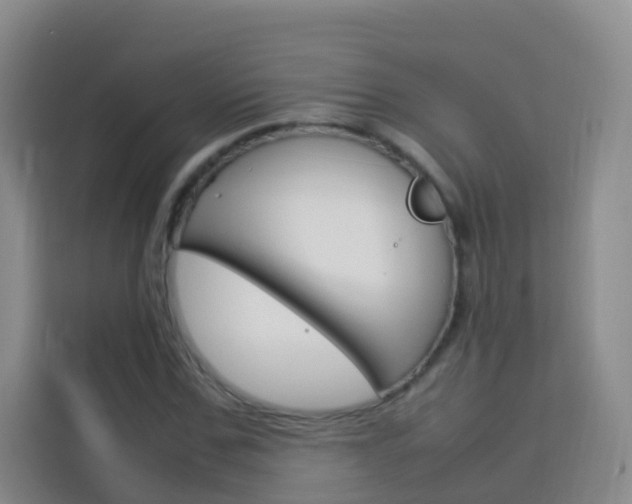 X0000114060971200910050952