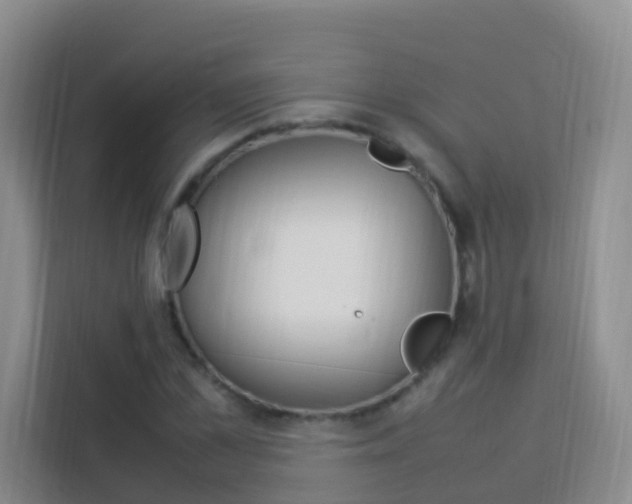 X0000114060973200910050952