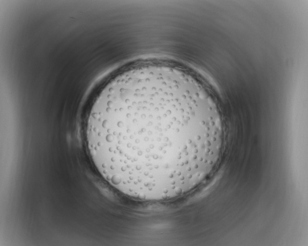 X0000114060974200910050952