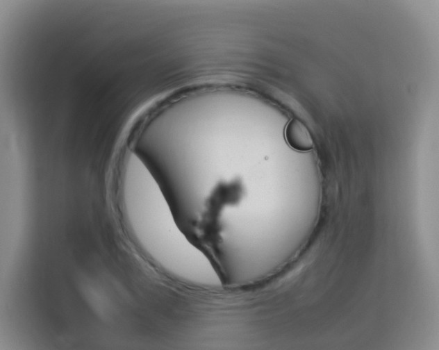 X0000114060979200910050952