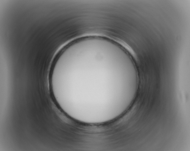 X0000114060980200910050952
