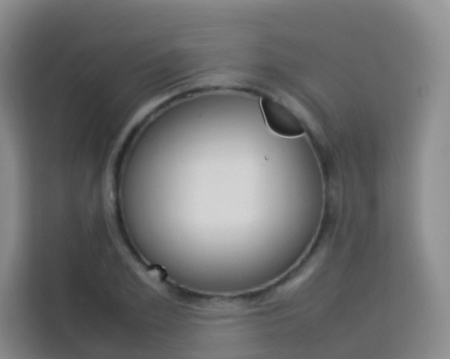 X0000114060981200910050952