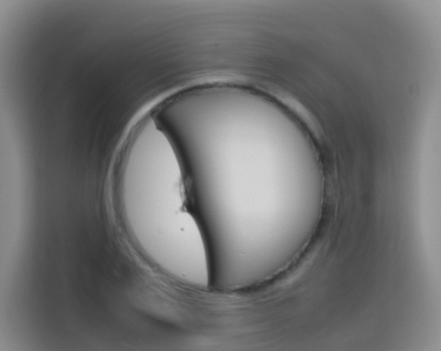 X0000114060983200910050952