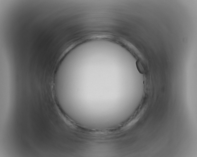 X0000114060985200910050952