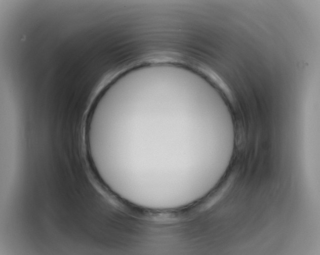 X0000114060986200910050952