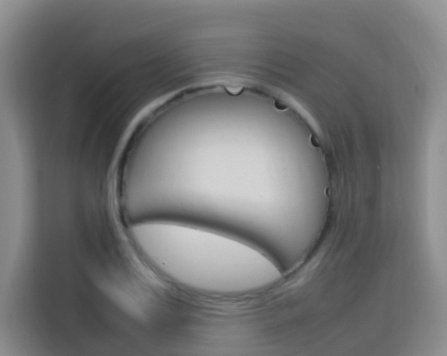X0000114060987200910050952