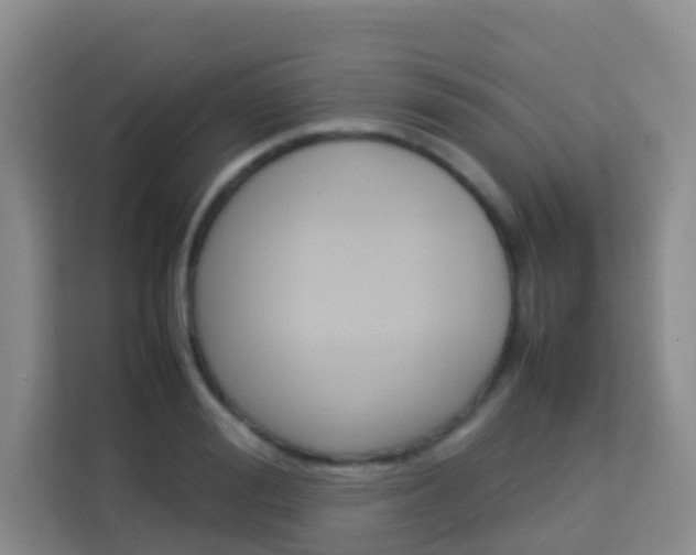 X0000114060988200910050952