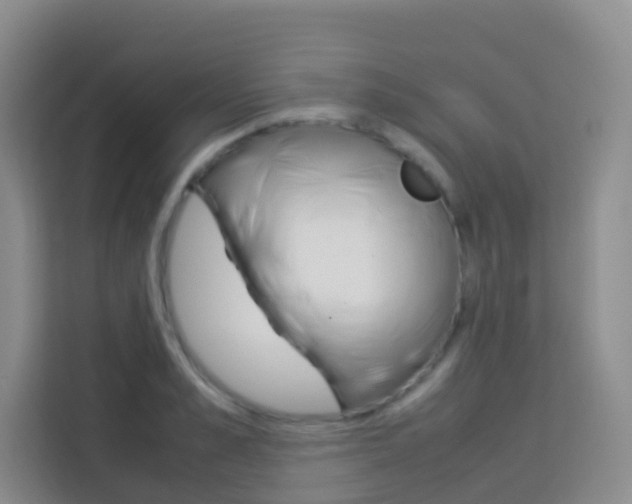X0000114060989200910050952