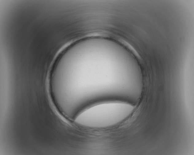 X0000114060991200910050952