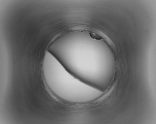 X0000114060993200910050952