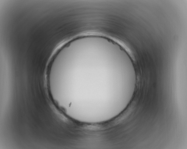 X0000114060998200910050952