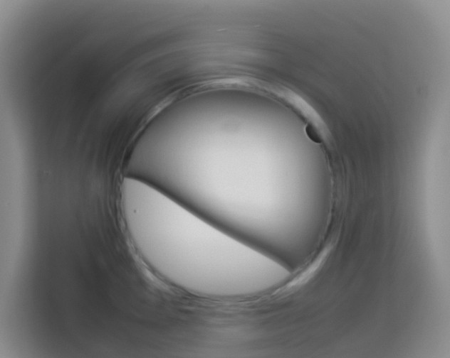 X0000114061001200910050952