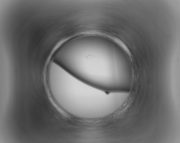 X0000114061005200910050952