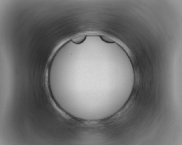X0000114061006200910050952