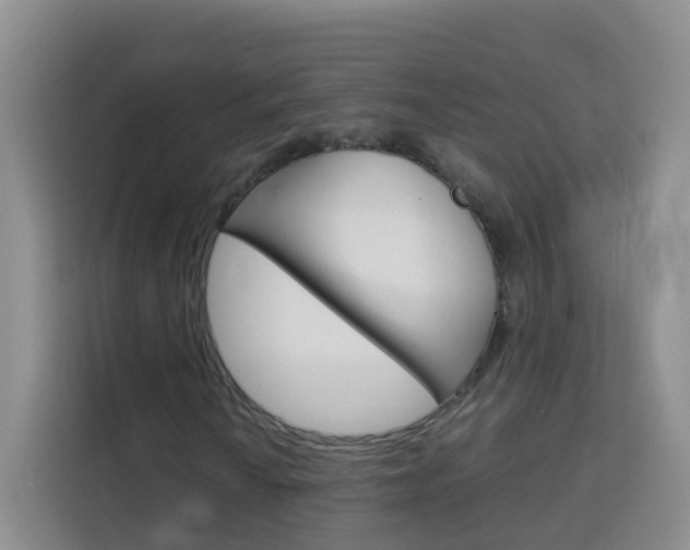 X0000114061010200910050951