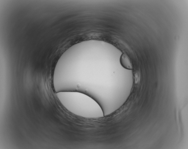 X0000114061011200910050951