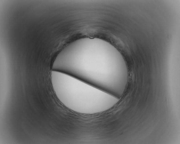 X0000114061012200910050951