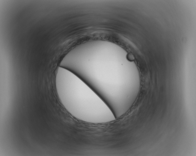 X0000114061013200910050951