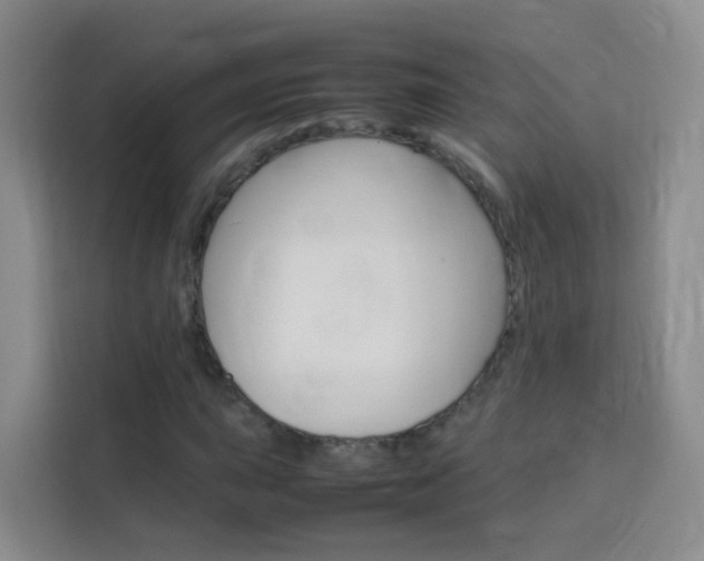 X0000114061015200910050951
