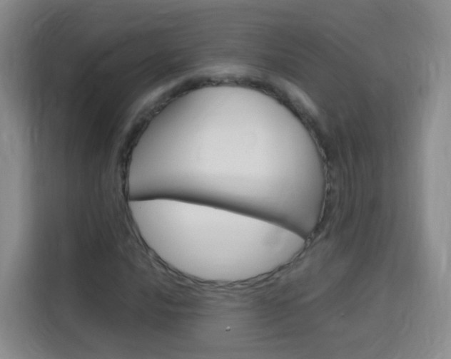 X0000114061016200910050951