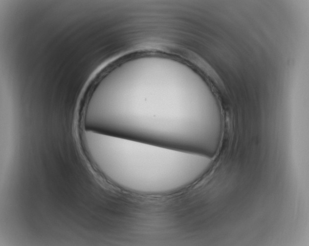 X0000114061020200910050951