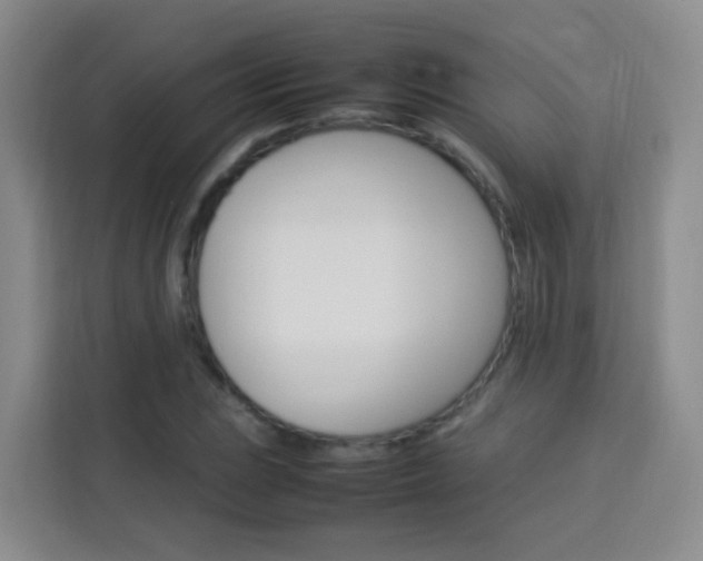 X0000114061023200910050951