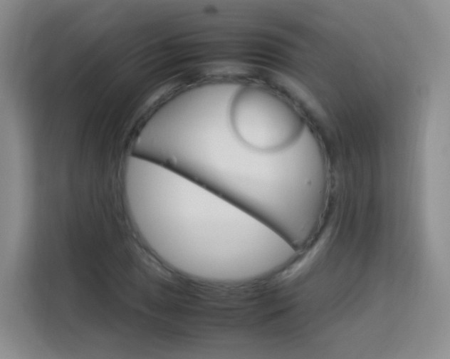 X0000114061025200910050951