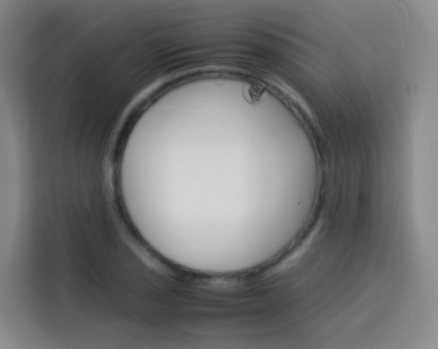 X0000114061029200910050951