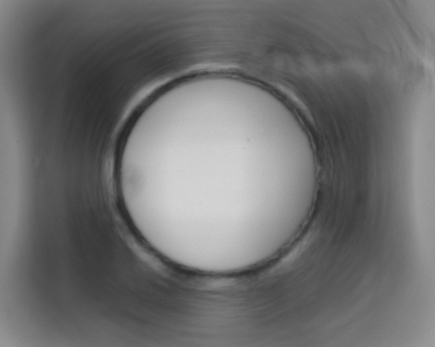 X0000114061030200910050951