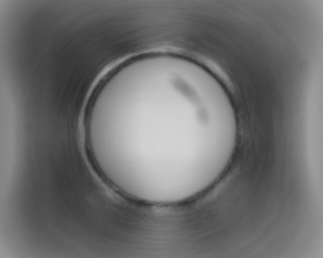 X0000114061032200910050951