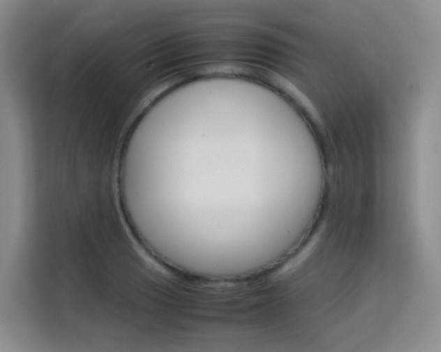 X0000114061033200910050951