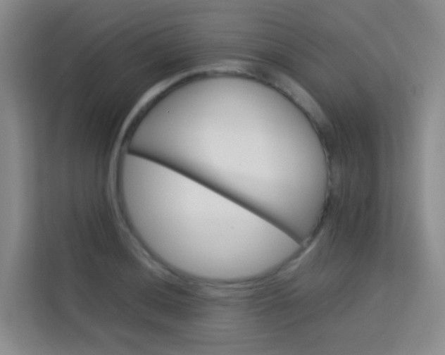 X0000114061036200910050951