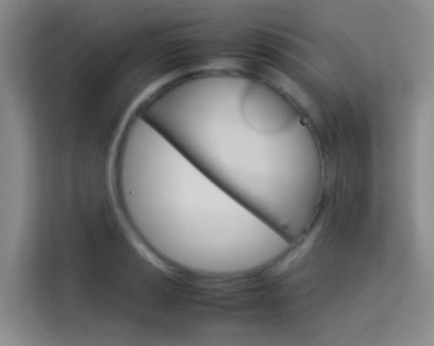 X0000114061037200910050951