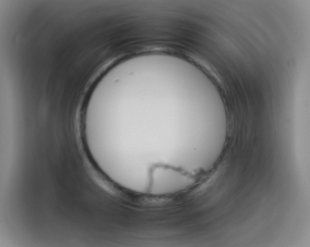X0000114061039200910050951