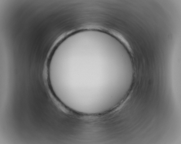 X0000114061040200910050951