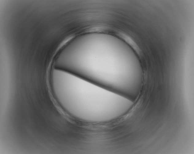 X0000114061042200910050951