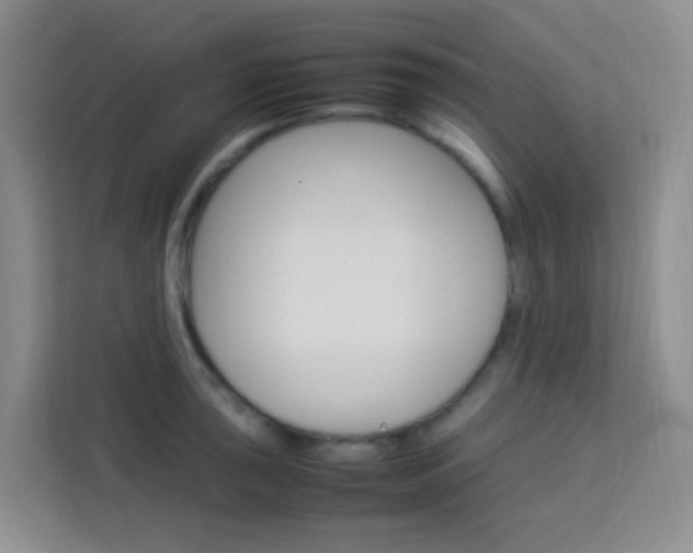 X0000114061043200910050951