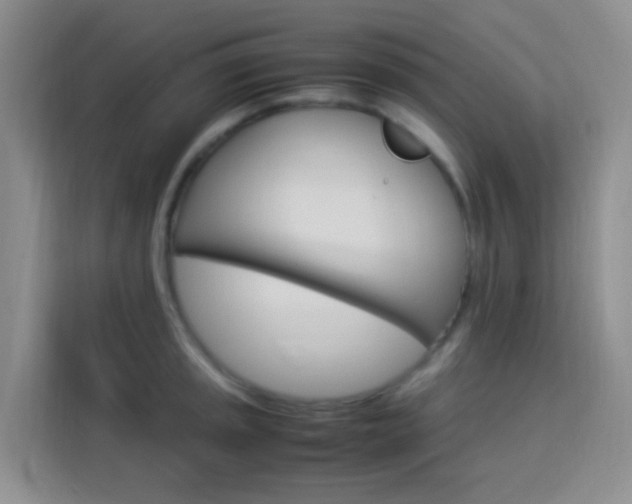X0000114061045200910050951