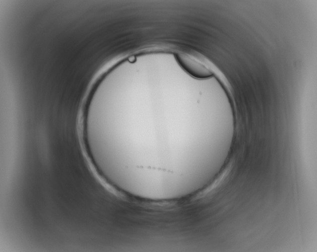 X0000114061053200910050951