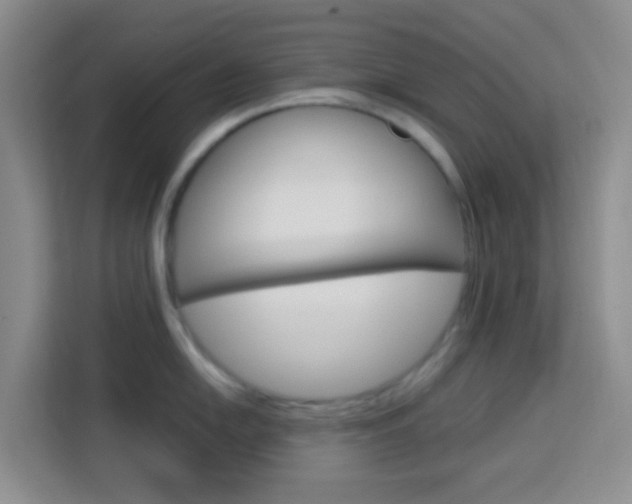 X0000114061054200910050951