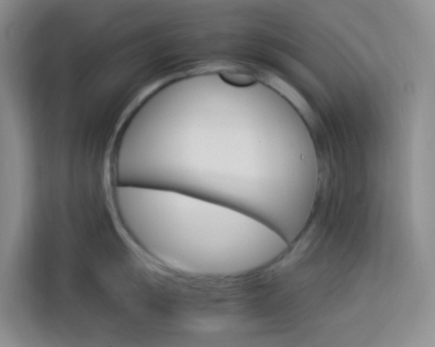 X0000114061055200910050951