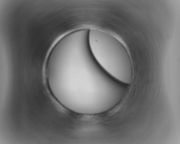 X0000114061056200910050951