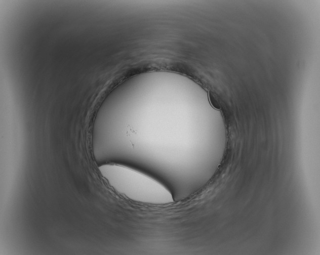 X0000114061057200910050951