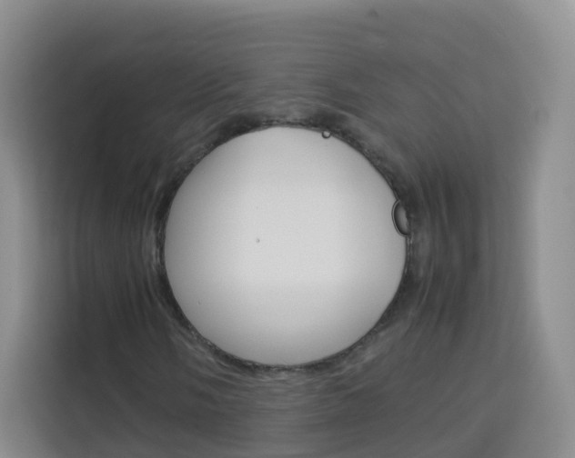 X0000114061058200910050951