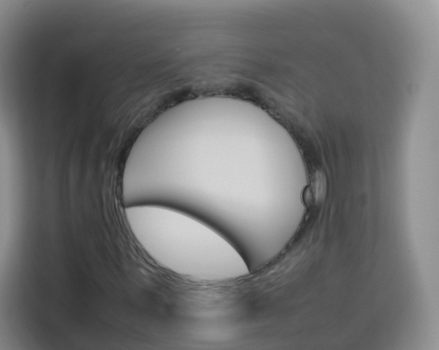 X0000114061059200910050951